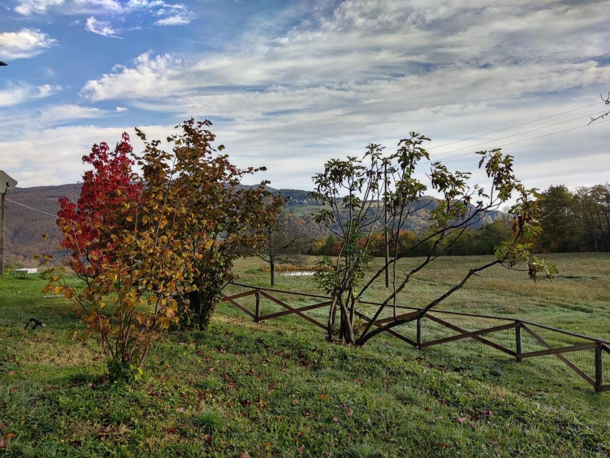 "Borgo Gerbina" Agriturismo & Azienda Agricola Sozzi Екстер'єр фото