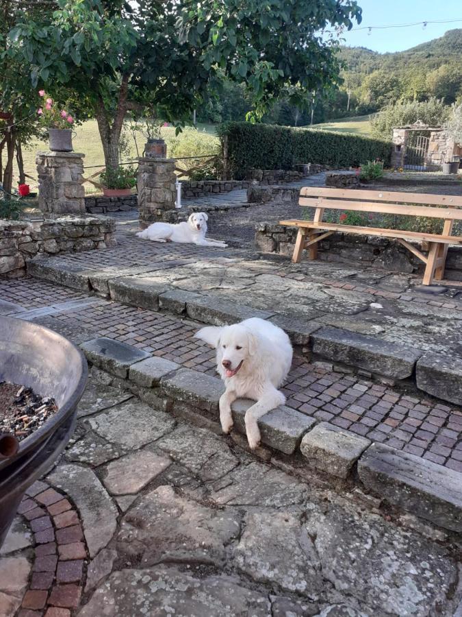 "Borgo Gerbina" Agriturismo & Azienda Agricola Sozzi Екстер'єр фото
